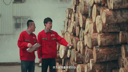 太阳城官网(中国)集团有限公司