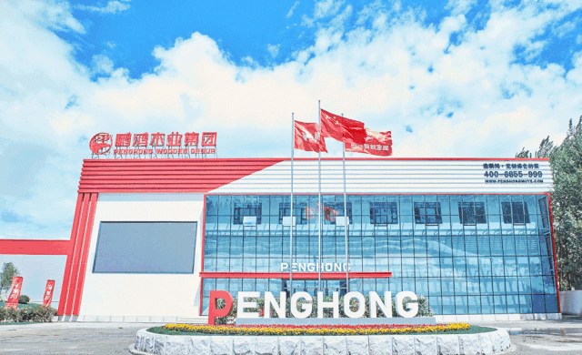 太阳城官网(中国)集团有限公司