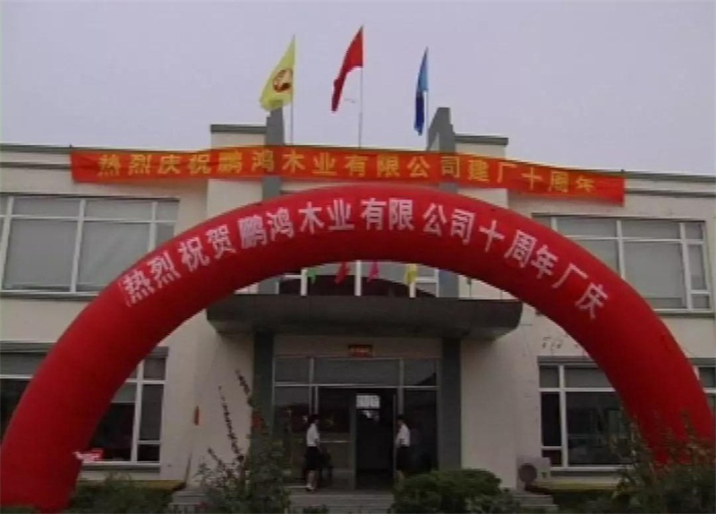 太阳城官网(中国)集团有限公司