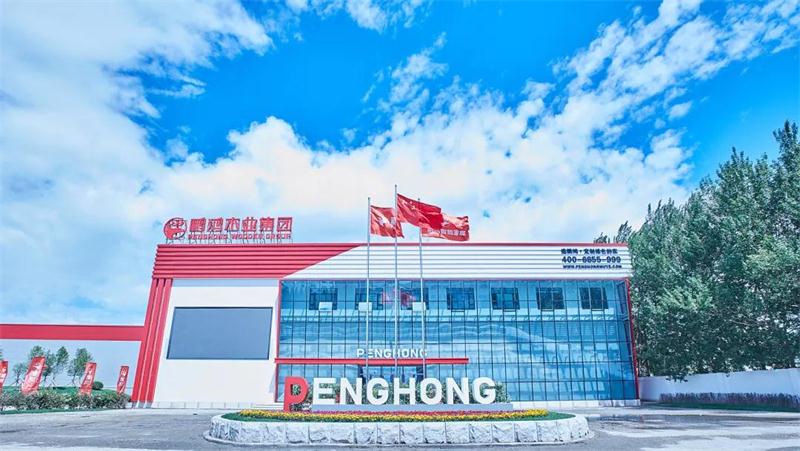 太阳城官网(中国)集团有限公司